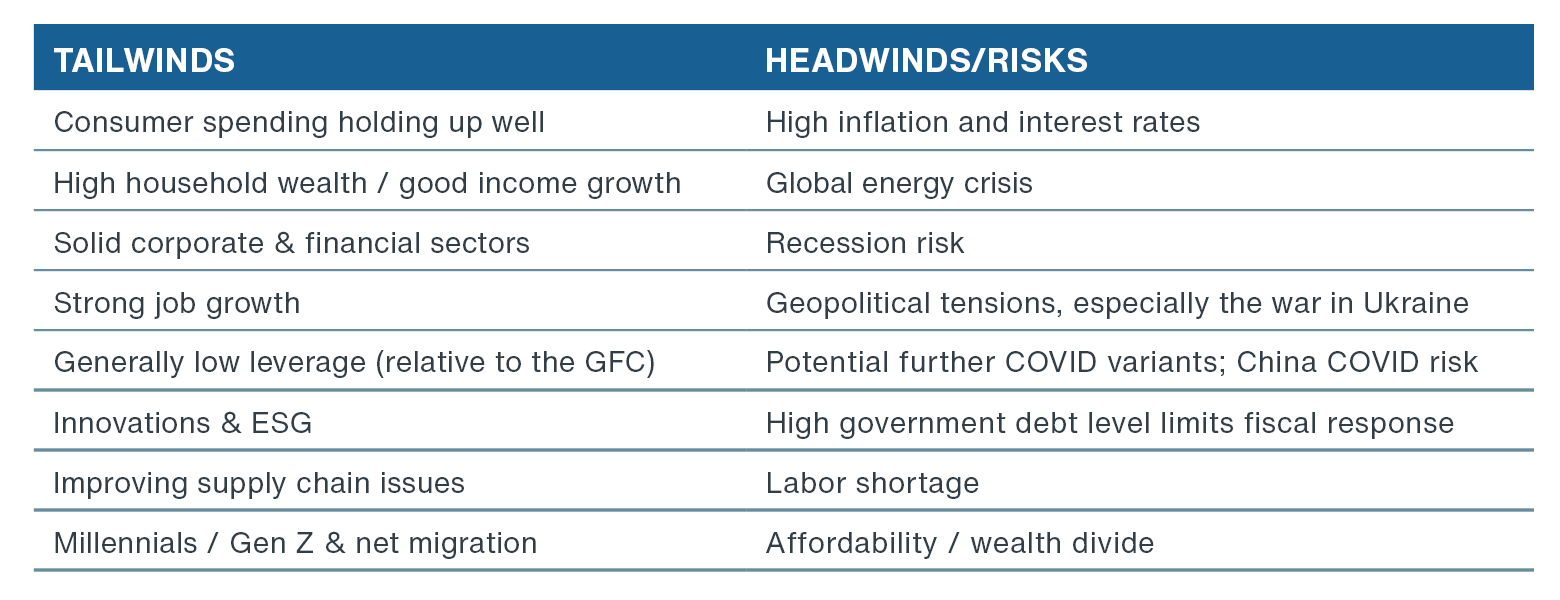 Chart showing investment dynamics and economic headwinds/risks and tailwinds as of October 2022