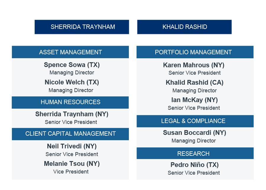 CI Council Leadership Chart