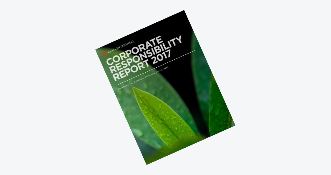 Cover of 2017 ESG Annual Report featuring green leaf