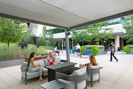 Employees gathering in covered outdoor space with surrounding greenery 